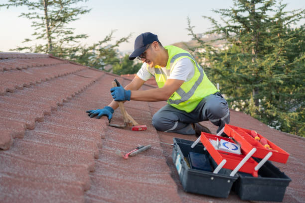 Best Roof Leak Repair  in Oakland, IA